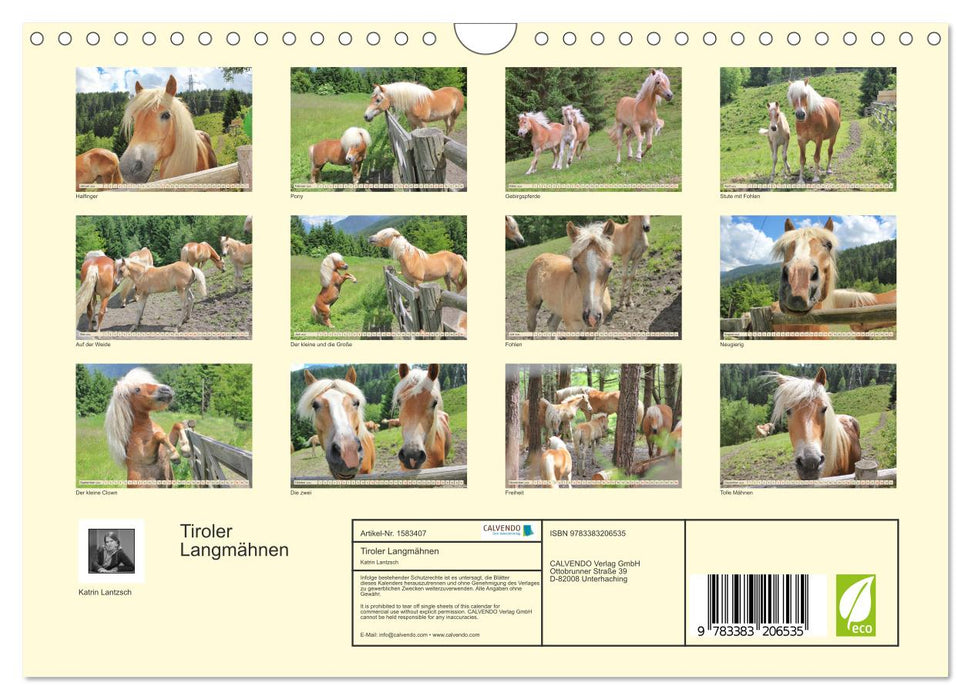 Tyrolean Long Mane (CALVENDO wall calendar 2024) 