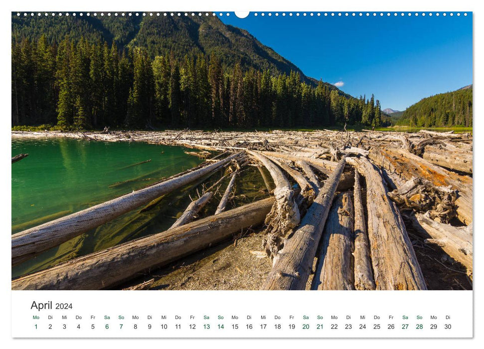 Into the Wild - Kanada und Alaska (CALVENDO Premium Wandkalender 2024)