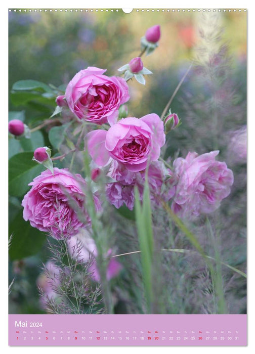 Blumenglück. Ein blühendes Gartenjahr (CALVENDO Wandkalender 2024)