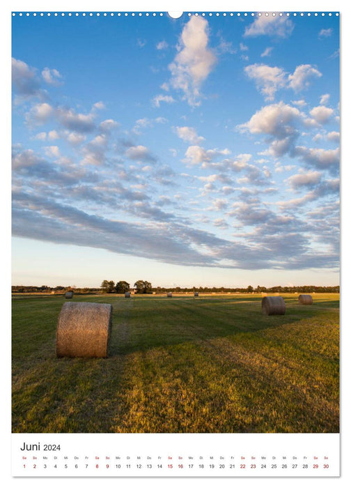 On the Darß - Impressions (CALVENDO Premium Wall Calendar 2024) 