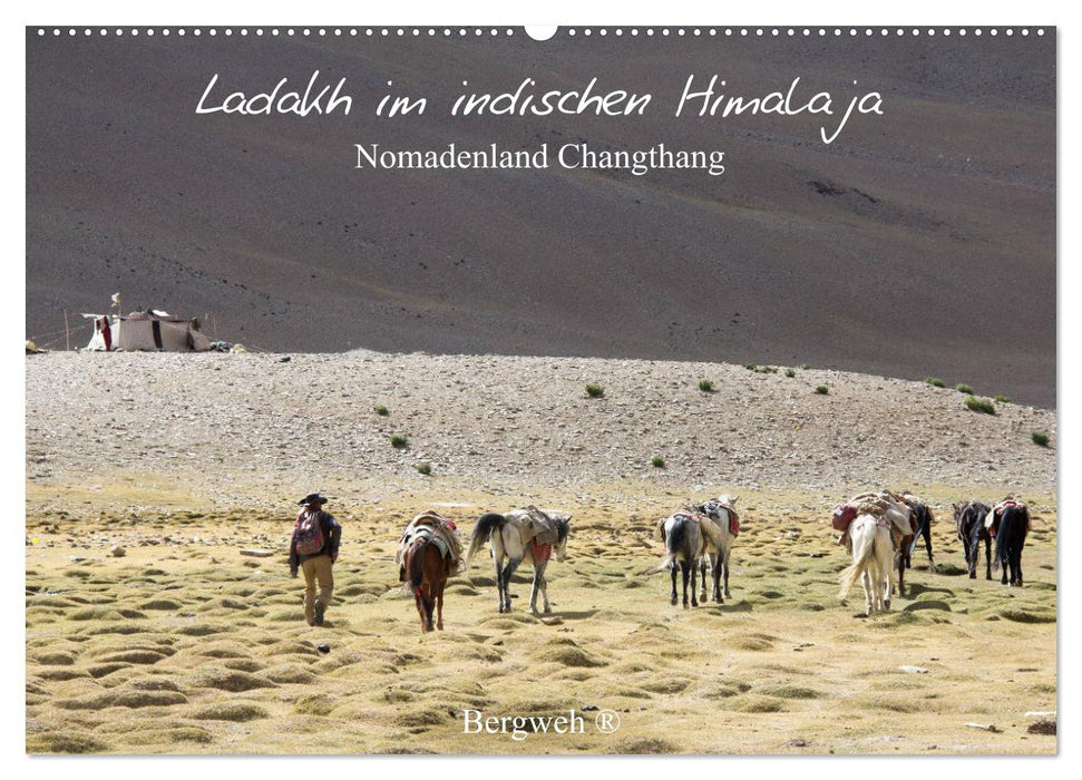Ladakh im indischen Himalaja - Nomadenland Changthang - Bergweh ® (CALVENDO Wandkalender 2024)