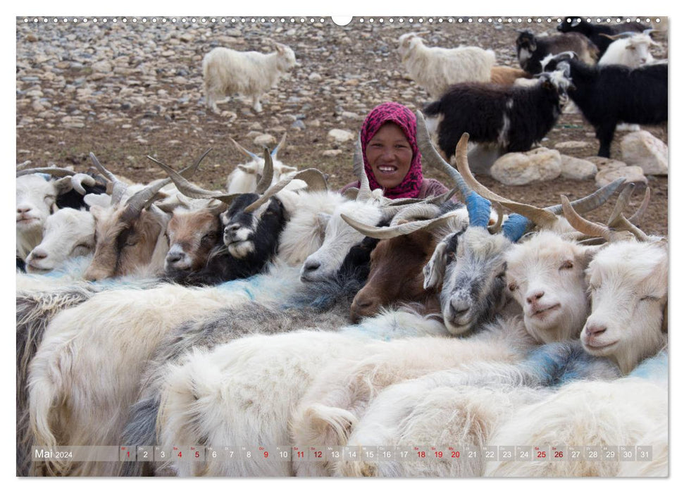 Ladakh im indischen Himalaja - Nomadenland Changthang - Bergweh ® (CALVENDO Wandkalender 2024)