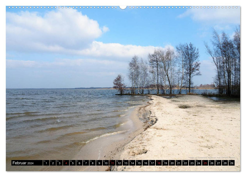 Steinhuder Meer, snapshots by Christine Bienert (CALVENDO Premium Wall Calendar 2024) 