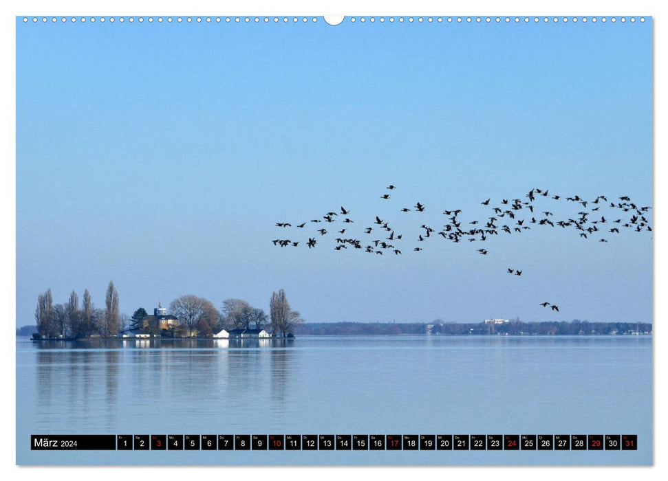 Steinhuder Meer, Momentaufnahmen von Christine Bienert (CALVENDO Premium Wandkalender 2024)