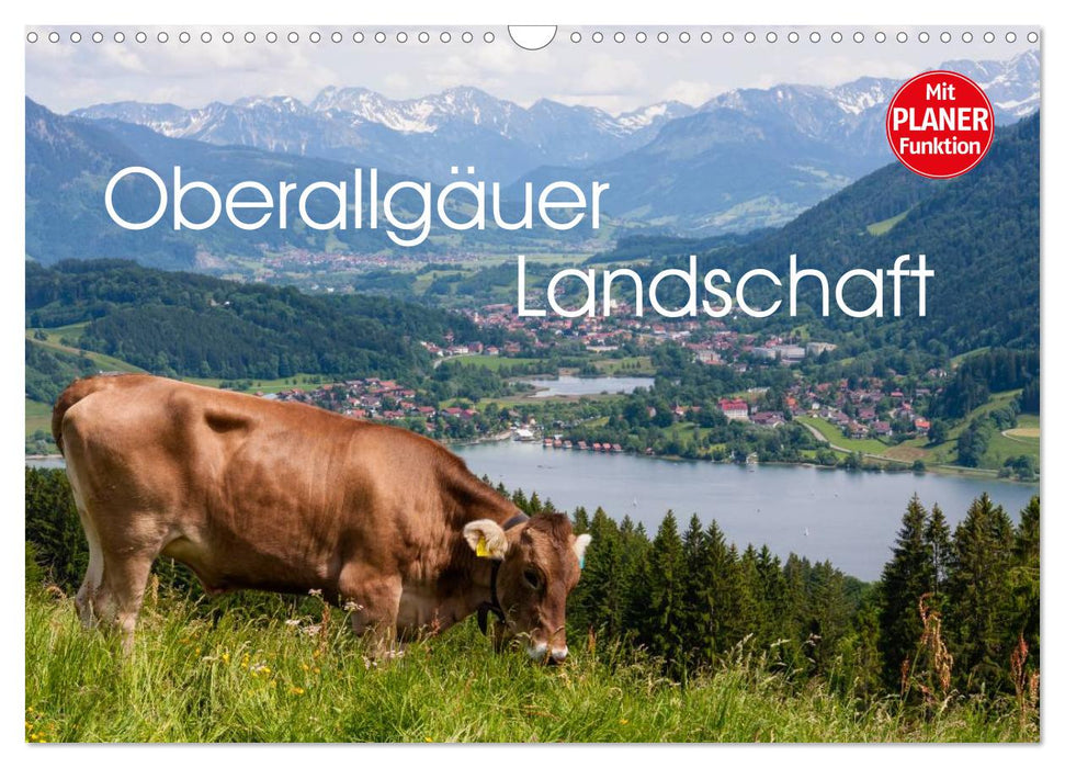 Oberallgäu landscape (CALVENDO wall calendar 2024) 
