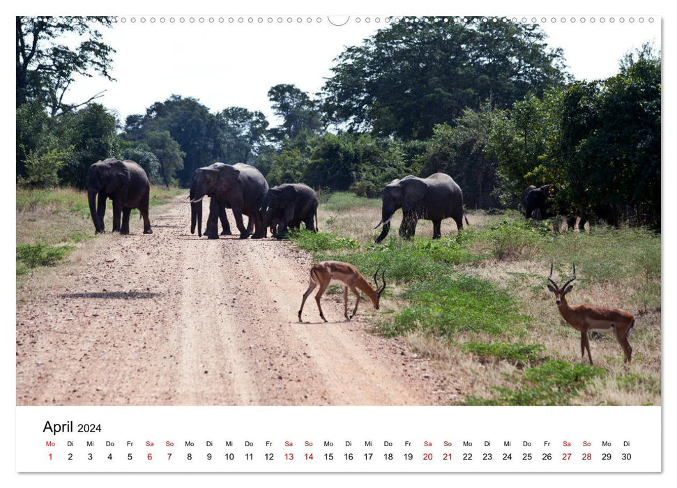 Sambia und der Sambesi (CALVENDO Premium Wandkalender 2024)