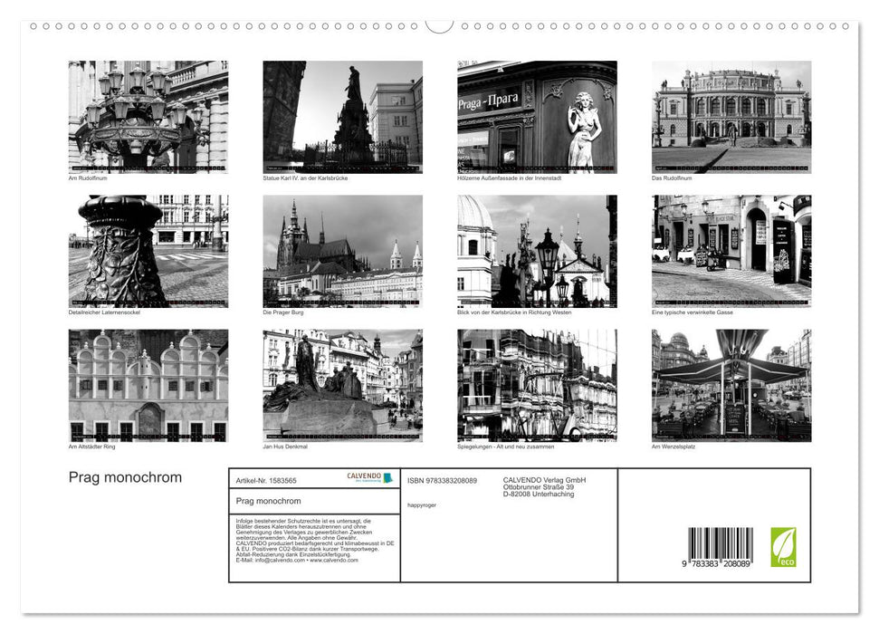 Prag monochrom (CALVENDO Premium Wandkalender 2024)