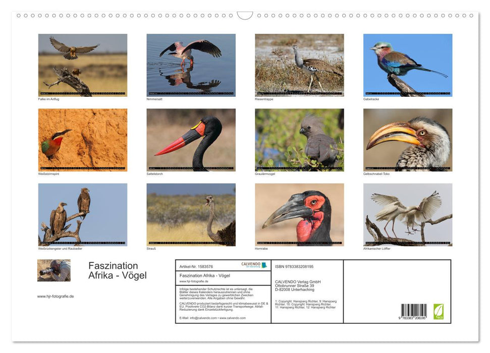 Fascination Africa - Birds (CALVENDO wall calendar 2024) 