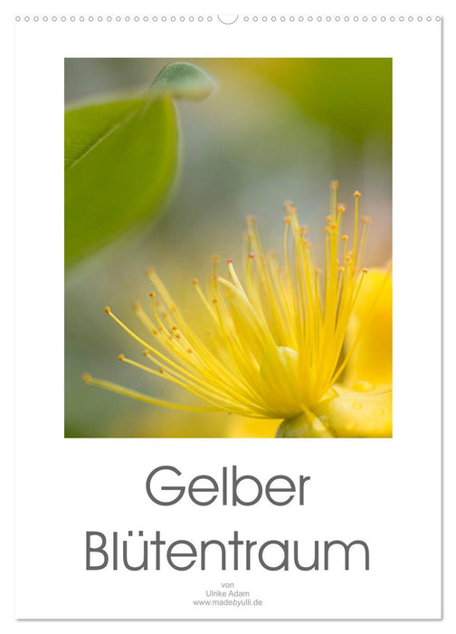 Gelber Blütentraum (CALVENDO Wandkalender 2024)