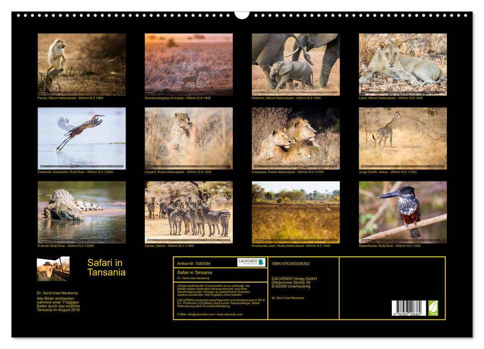 Safari in Tanzania (CALVENDO wall calendar 2024) 