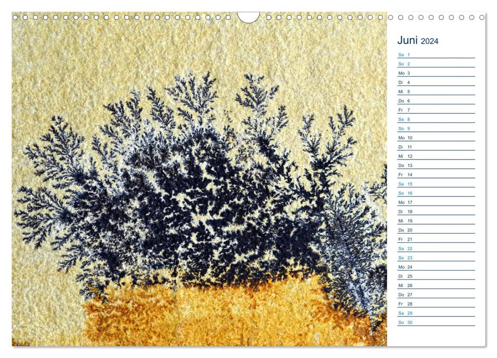 Fairytale worlds made of stone - manganese oxide dendrites from Solnhofen (CALVENDO wall calendar 2024) 