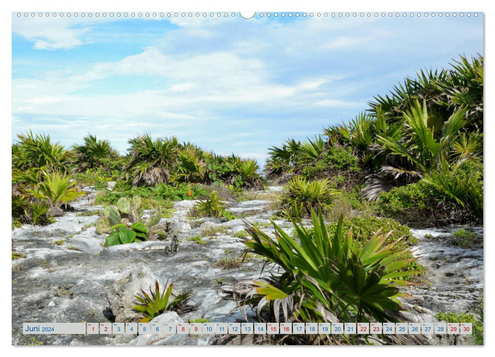 Mexico - Impressions (CALVENDO wall calendar 2024) 