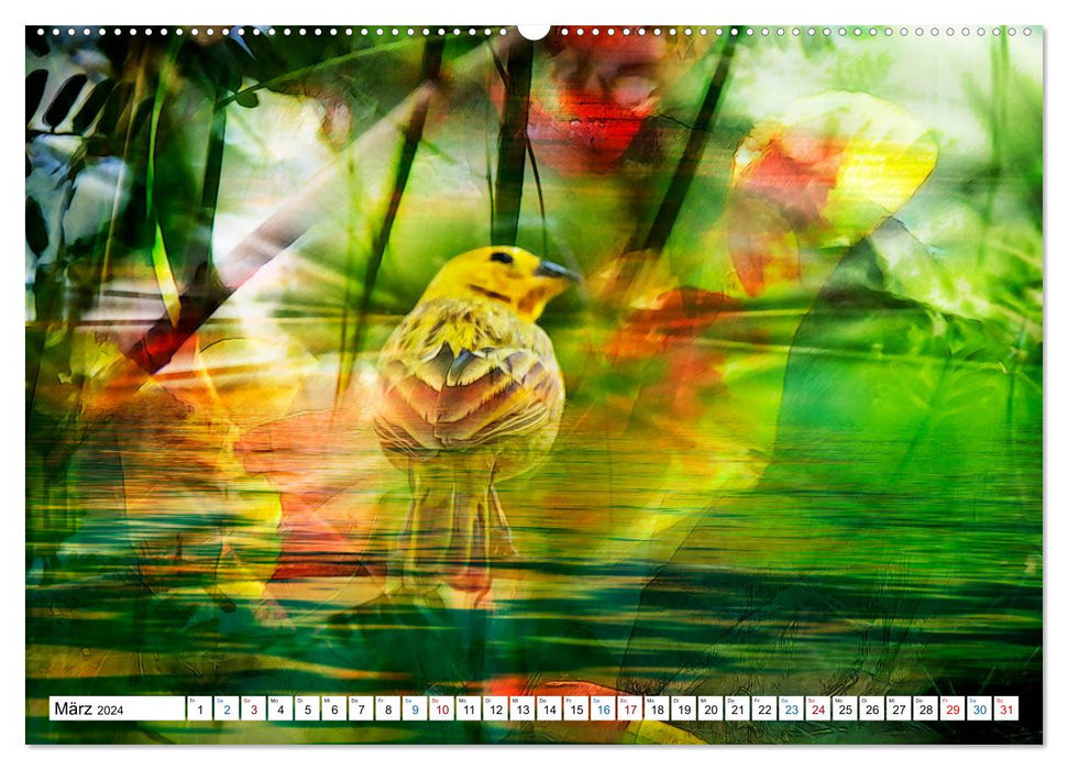 Tropenbewohner - farbenfrohe Vögel (CALVENDO Premium Wandkalender 2024)