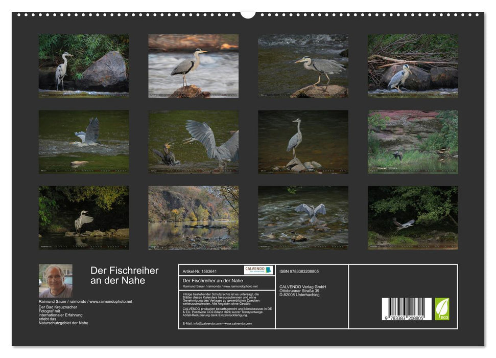 The heron in the Nahe nature reserve (CALVENDO Premium Wall Calendar 2024) 