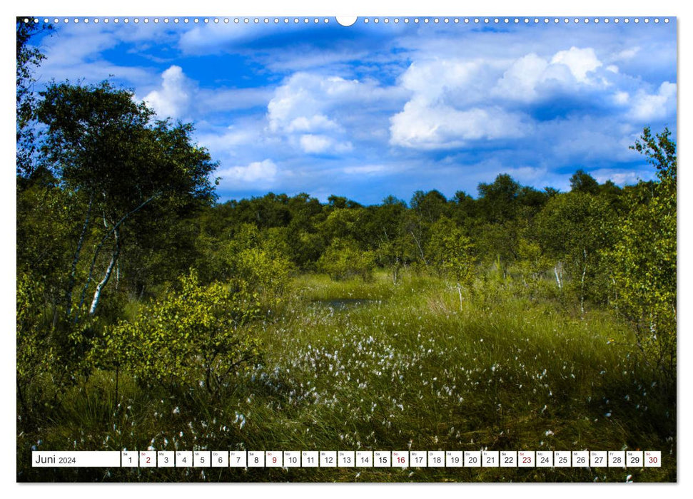 Osterholz-Scharmbeck, impressions de la nature du Teufelsmoor (calendrier mural CALVENDO 2024) 