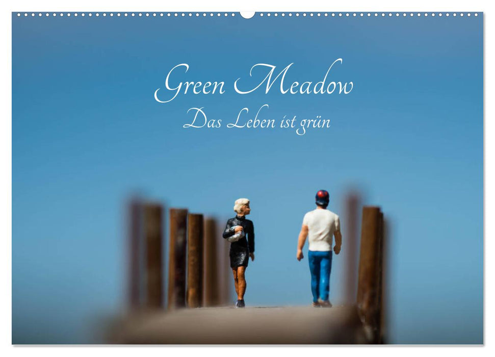Green Meadow - Life is green (CALVENDO wall calendar 2024) 