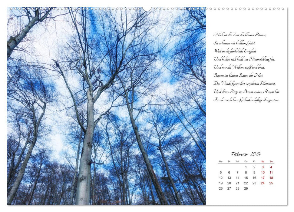 Max Dauthendey - Mit der Natur durchs Jahr (CALVENDO Premium Wandkalender 2024)