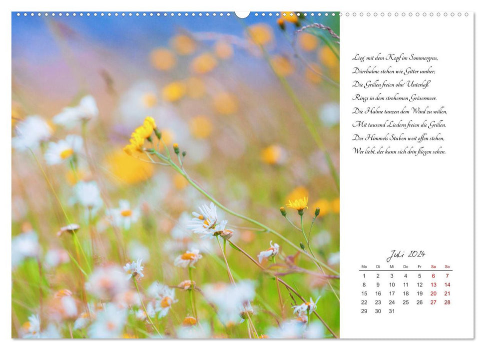 Max Dauthendey - With nature throughout the year (CALVENDO Premium Wall Calendar 2024) 