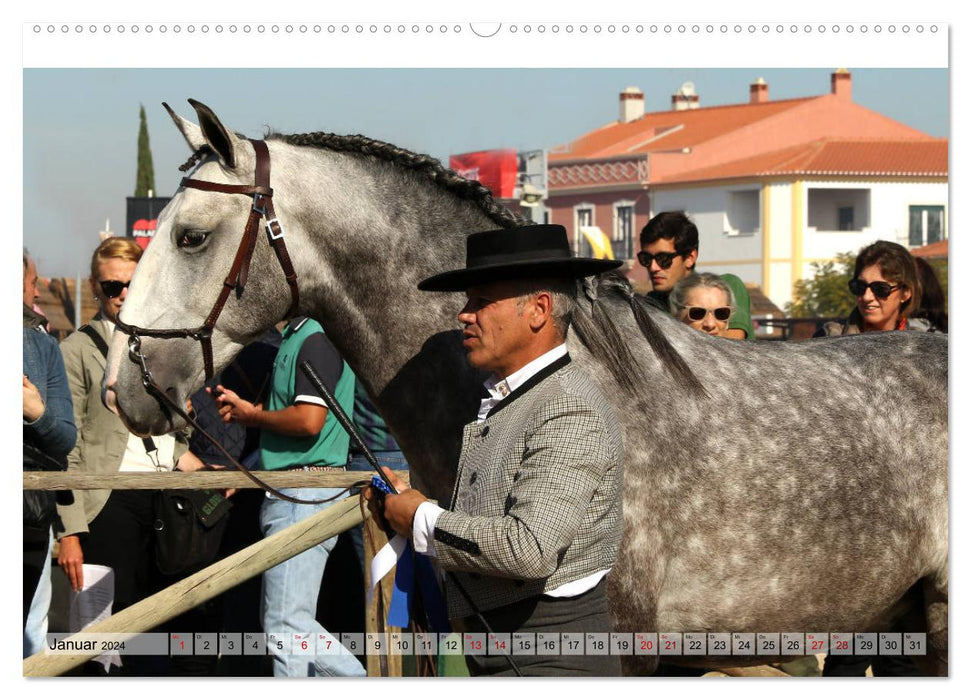 Portugal - Festival du cheval de Golegã (Calvendo Premium Wall Calendar 2024) 
