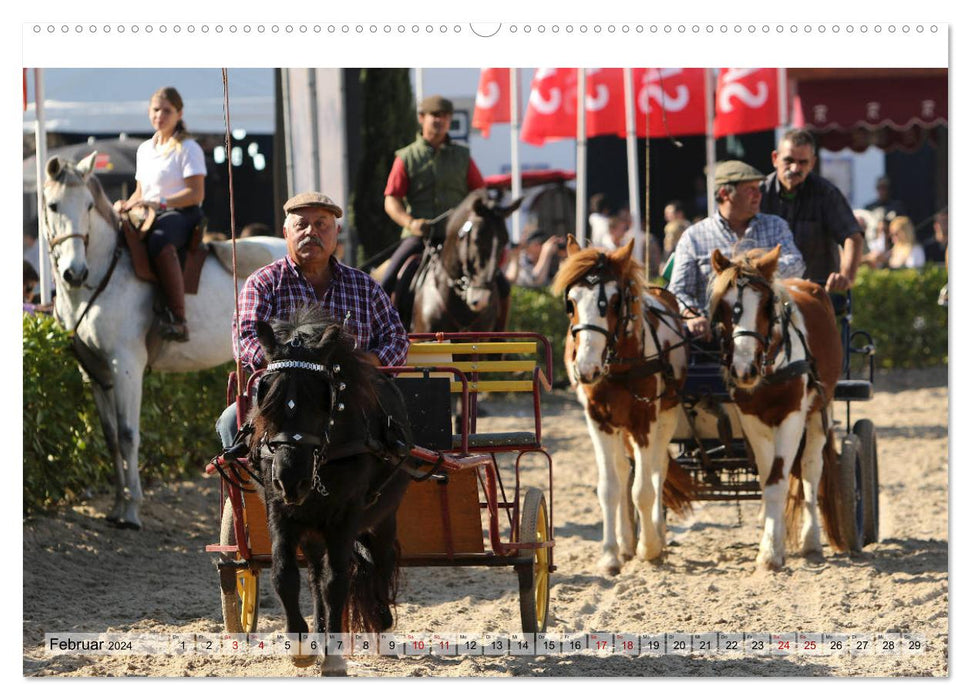 Portugal - Festival du cheval de Golegã (Calvendo Premium Wall Calendar 2024) 