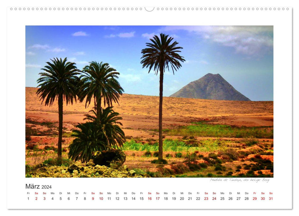 Fuerteventura - Bildschön (CALVENDO Wandkalender 2024)