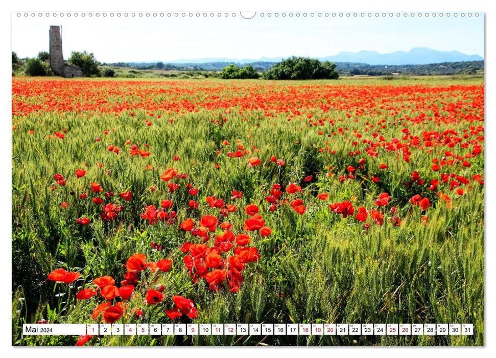 MALLORCA Mensch und Natur (CALVENDO Premium Wandkalender 2024)