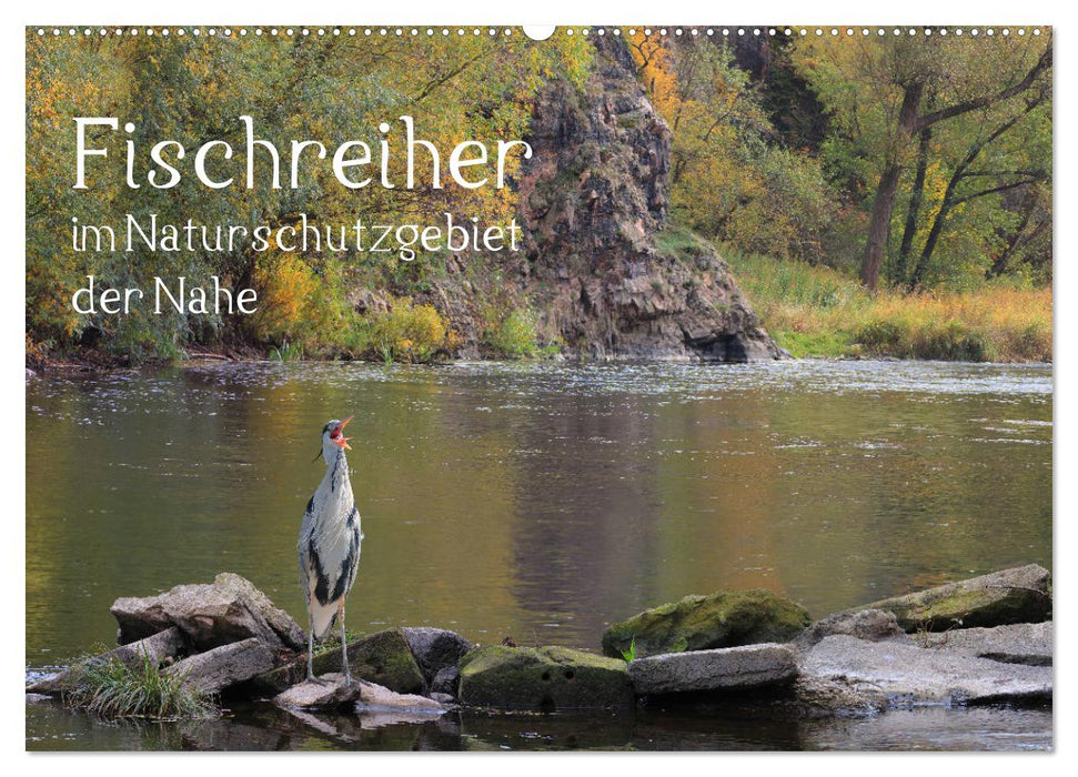 Der Fischreiher im Naturschutzgebiet der Nahe (CALVENDO Wandkalender 2024)