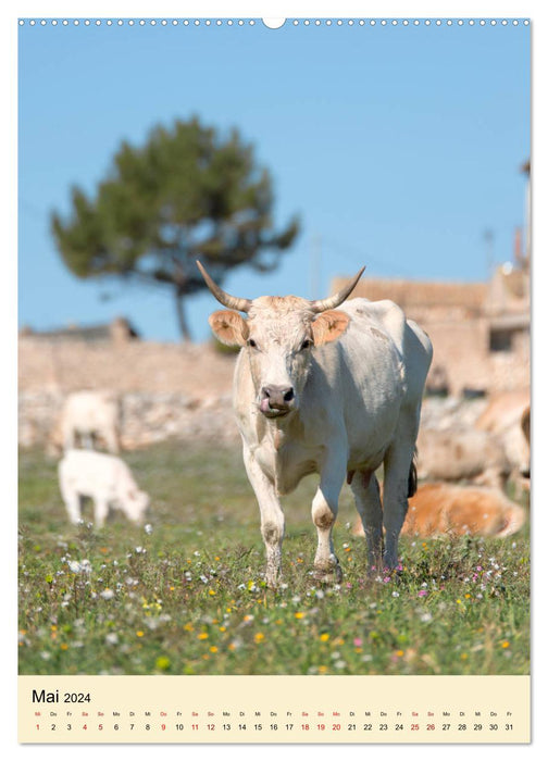 Découvrez ma Sicile (Calendrier mural CALVENDO Premium 2024) 