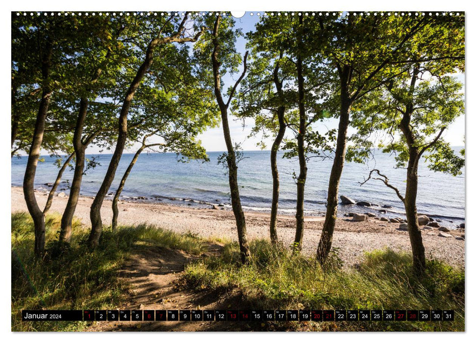 Insel Fehmarn - Impressionen eines Sommertages an der Ostsee (CALVENDO Wandkalender 2024)