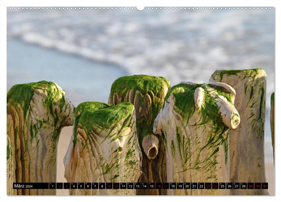 Sylt - natürlich (CALVENDO Wandkalender 2024)