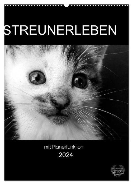 Streunerleben mit Planerfunktion (CALVENDO Wandkalender 2024)