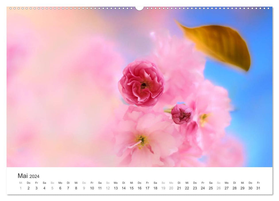 Rêve de fleurs de cerisier (Calvendo Premium Calendrier mural 2024) 