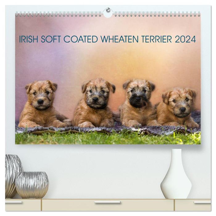 IRISH SOFT COATED WHEATEN TERRIER 2024 (CALVENDO Premium Wandkalender 2024)