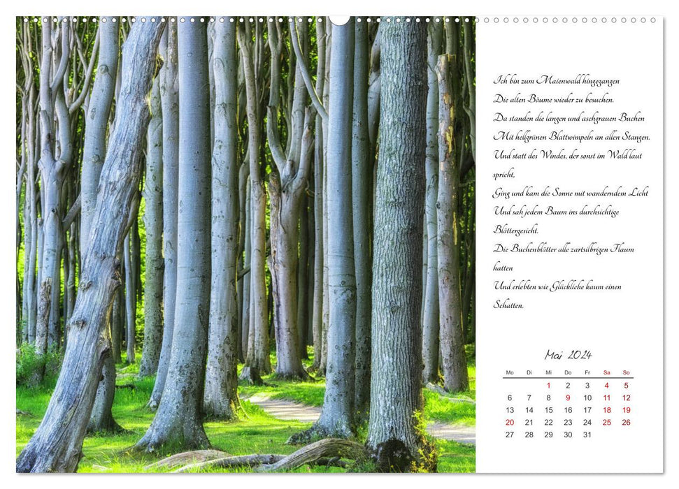 Max Dauthendey - Mit der Natur durchs Jahr (CALVENDO Wandkalender 2024)