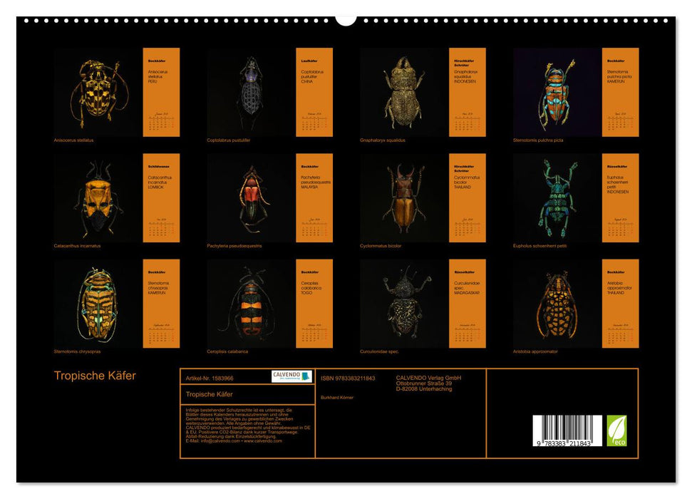 Tropische Käfer (CALVENDO Premium Wandkalender 2024)