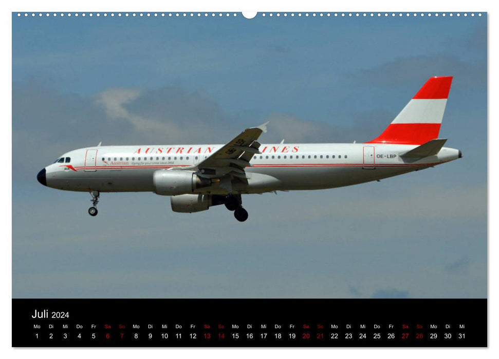 Im alten Glanz: Flugzeuge in Retro Livery (CALVENDO Premium Wandkalender 2024)