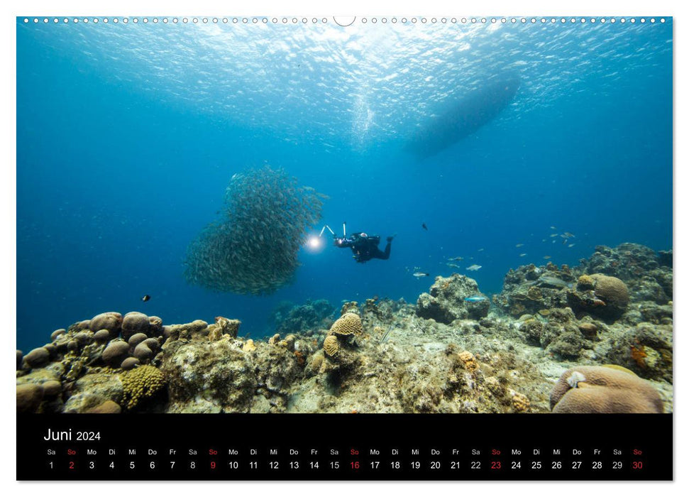 Tanz der Fische (CALVENDO Premium Wandkalender 2024)