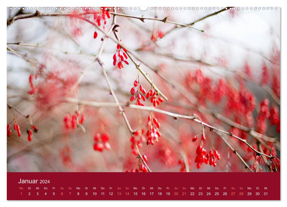 Farbwechsel - Die Farben der vier Jahreszeiten (CALVENDO Premium Wandkalender 2024)