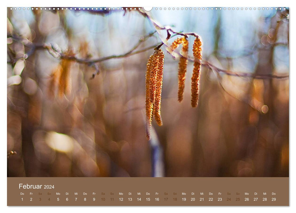 Farbwechsel - Die Farben der vier Jahreszeiten (CALVENDO Premium Wandkalender 2024)