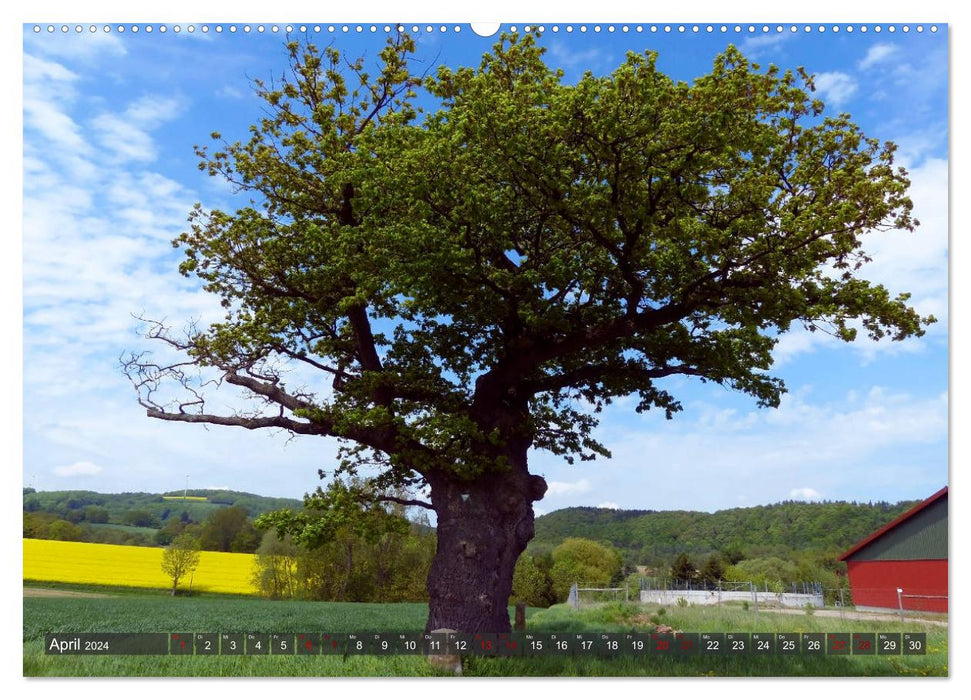 Flecken Aerzen (CALVENDO Wandkalender 2024)