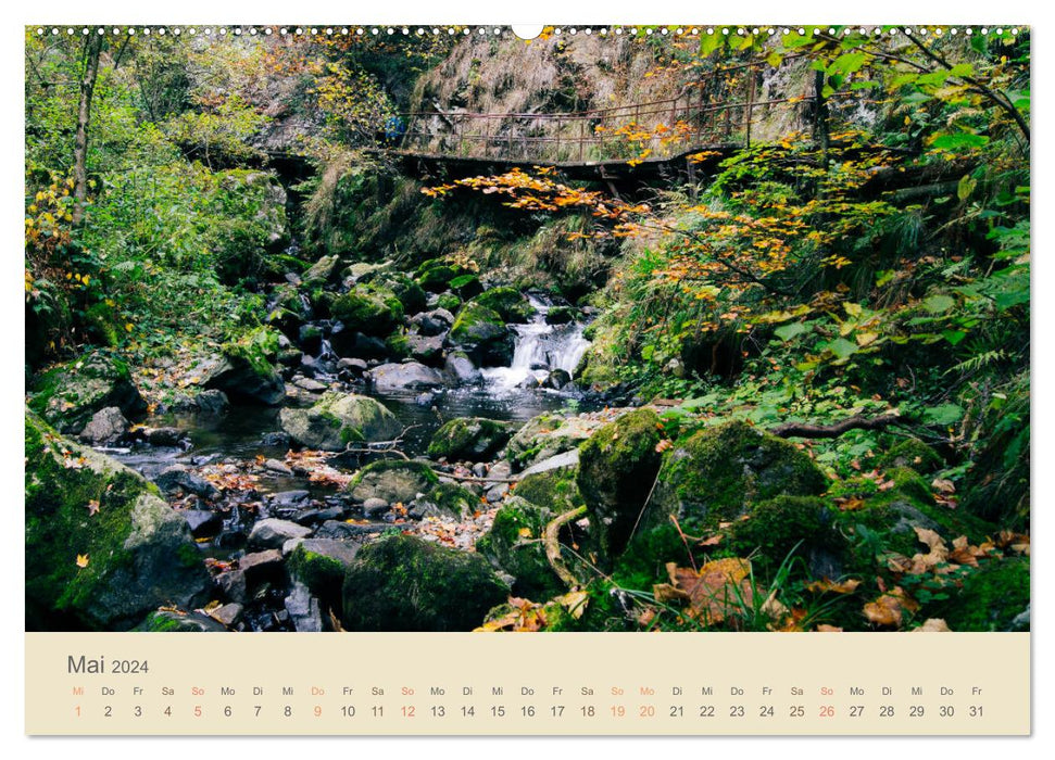 Fels und Stamm - Der Hochschwarzwald in Bildern (CALVENDO Wandkalender 2024)