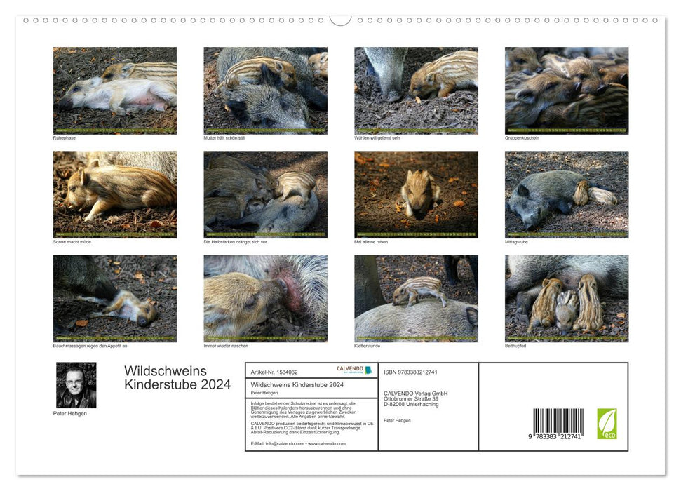 Wildschweins Kinderstube - Freche Frischlinge (CALVENDO Premium Wandkalender 2024)