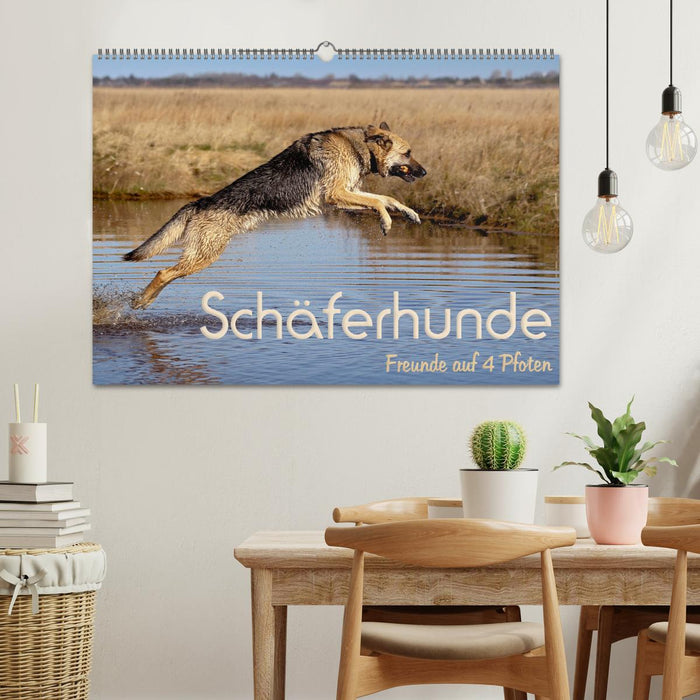 Schäferhunde - Freunde auf 4 Pfoten (CALVENDO Wandkalender 2024)