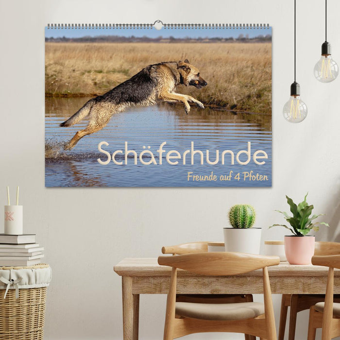 Bergers allemands - amis sur 4 pattes (calendrier mural CALVENDO 2024) 