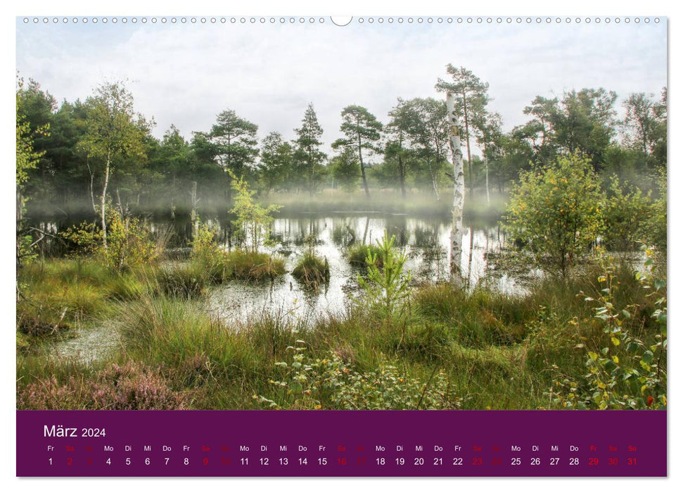 Die Heide blüht (CALVENDO Premium Wandkalender 2024)
