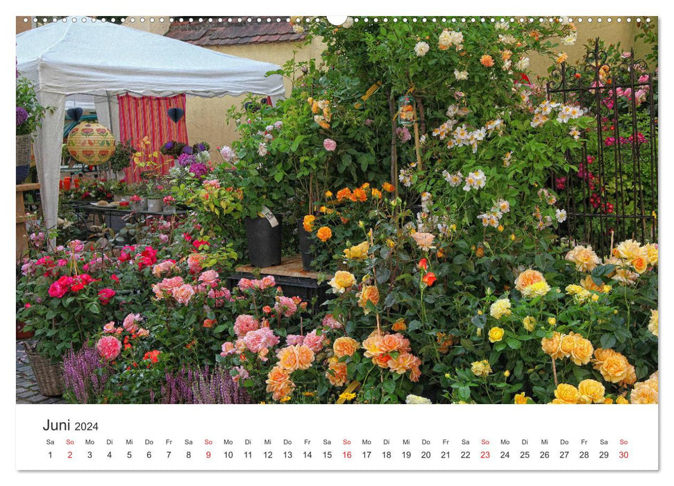 Stadtbummel im schönen Nördlingen (CALVENDO Premium Wandkalender 2024)