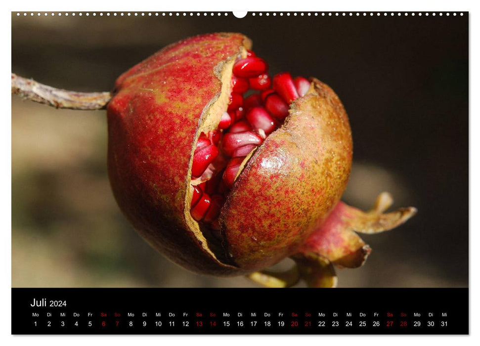 Erfrischend fruchtig (CALVENDO Premium Wandkalender 2024)