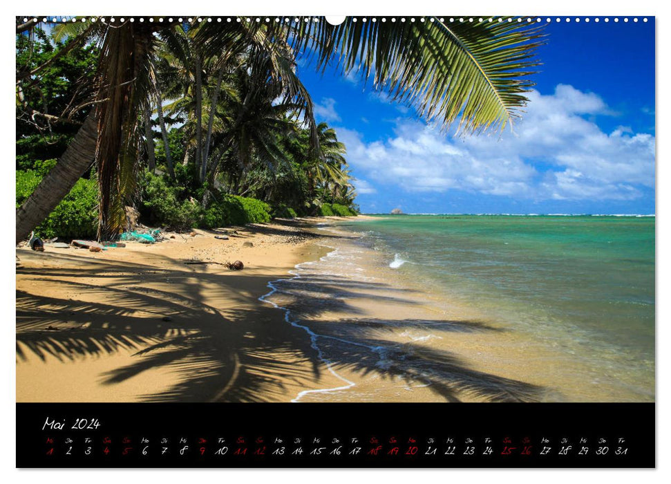 Colors of Hawaii - Farben im Pazifik (CALVENDO Premium Wandkalender 2024)