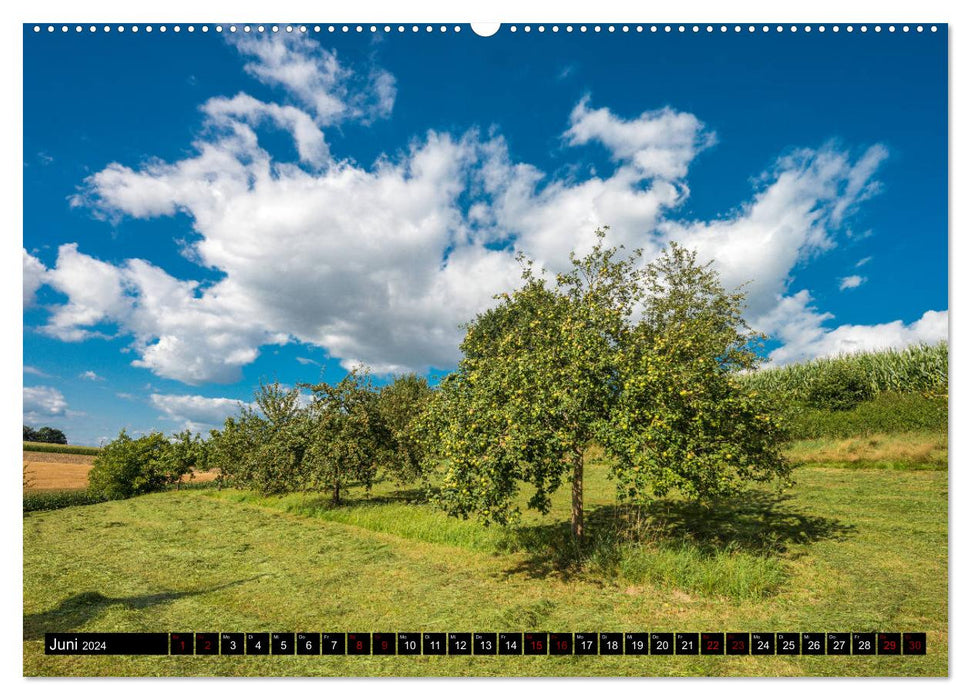 Bayerische Landschaften - Ein Streifzug durch das Dachauer Land (CALVENDO Premium Wandkalender 2024)