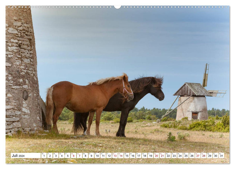 Gotland - Sonneninsel in der Ostsee (CALVENDO Premium Wandkalender 2024)